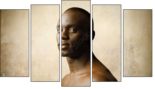 Afryka – portret naturalnego piękna
 - Obraz pięcioczęściowy, Pentaptyk