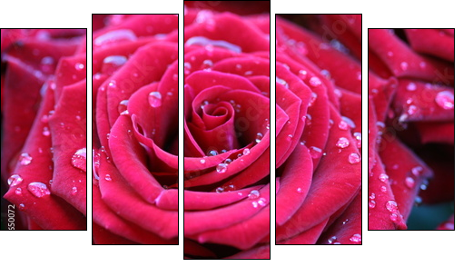 Czerwona róża – zawsze modna klasyka
 - Obraz pięcioczęściowy, Pentaptyk