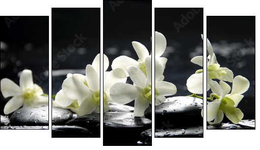 Zen stones and pink orchids with reflection  - Obraz pięcioczęściowy, Pentaptyk