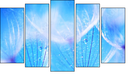 Niebieski dmuchawiec – ulotność natury
 - Obraz pięcioczęściowy, Pentaptyk
