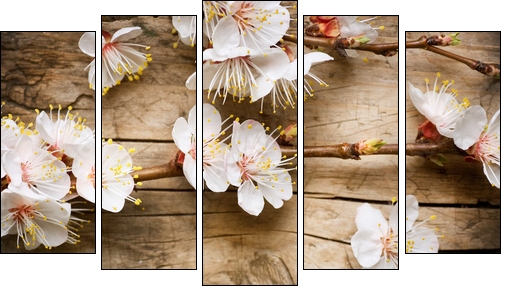 Kwiaty drzewa owocowego – zapach wiosny
 - Obraz pięcioczęściowy, Pentaptyk