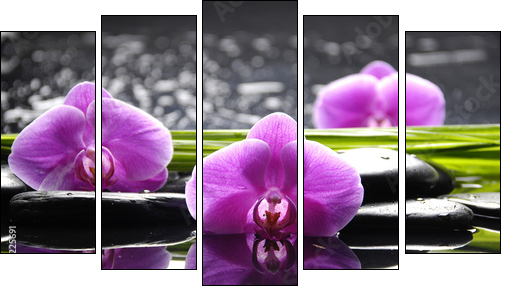 Spa still life with set of pink orchid and stones reflection  - Obraz pięcioczęściowy, Pentaptyk