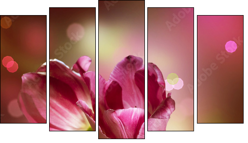 Otwarte tulipany – kwiaty w domu
 - Obraz pięcioczęściowy, Pentaptyk