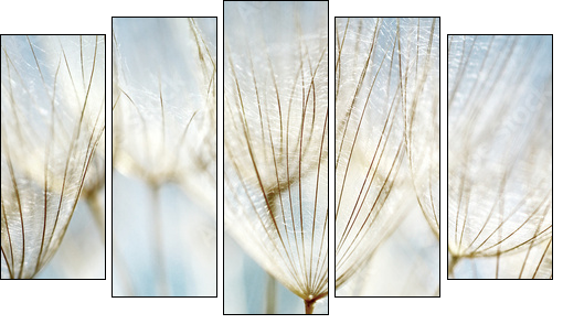 Abstract dandelion flower background  - Obraz pięcioczęściowy, Pentaptyk