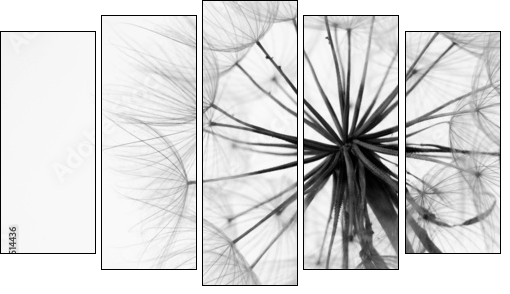 Close-up of dandelion  - Obraz pięcioczęściowy, Pentaptyk