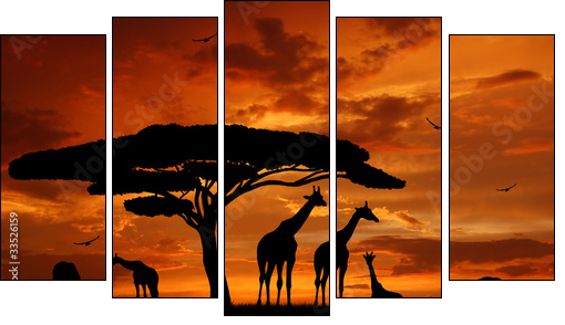 Afryka: żyrafy układają się do snu
 - Obraz pięcioczęściowy, Pentaptyk