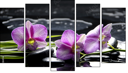 Pink orchid with bamboo leaf and stones with reflection  - Obraz pięcioczęściowy, Pentaptyk
