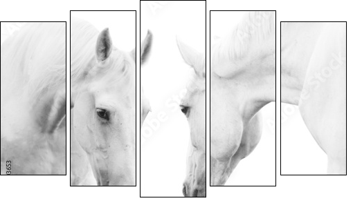 white horses  - Obraz pięcioczęściowy, Pentaptyk