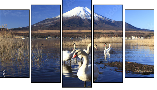 Mt. Fuji and Swans  - Obraz pięcioczęściowy, Pentaptyk