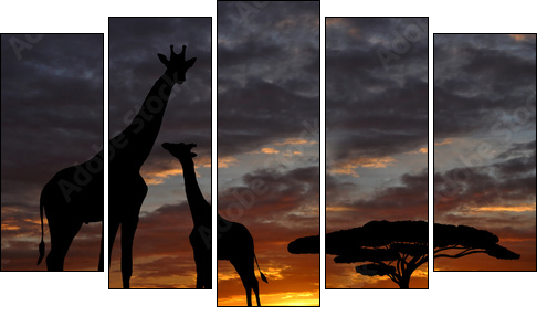 giraffes in the sunset  - Obraz pięcioczęściowy, Pentaptyk