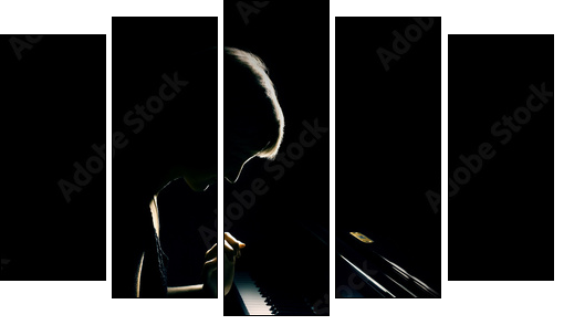 Piano playing pianist concert. Classical music  - Obraz pięcioczęściowy, Pentaptyk