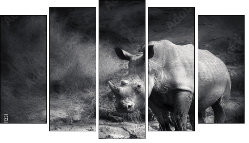 White Rhinoceros  - Obraz pięcioczęściowy, Pentaptyk