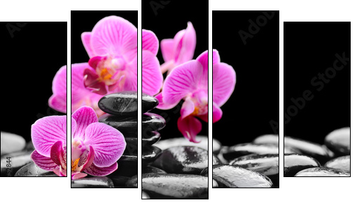 orchid  - Obraz pięcioczęściowy, Pentaptyk