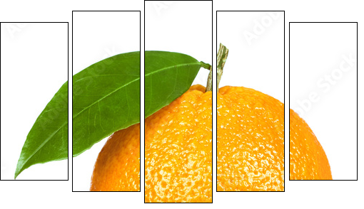 Pomarańcza jak z żurnala wyjęta  - Obraz pięcioczęściowy, Pentaptyk