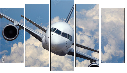 Airliner in flight  - Obraz pięcioczęściowy, Pentaptyk
