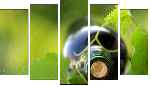 Wino dojrzewające na pnączu  - Obraz pięcioczęściowy, Pentaptyk