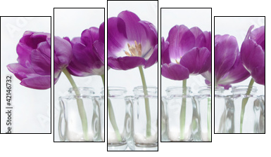 Tulpen  - Obraz pięcioczęściowy, Pentaptyk
