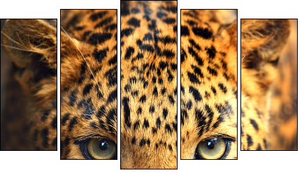 Leopard portrait  - Obraz pięcioczęściowy, Pentaptyk