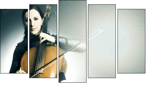 Cello musical instrument musician cellist playing  - Obraz pięcioczęściowy, Pentaptyk
