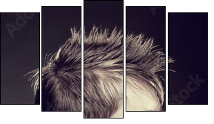 Men's hairstyle  - Obraz pięcioczęściowy, Pentaptyk
