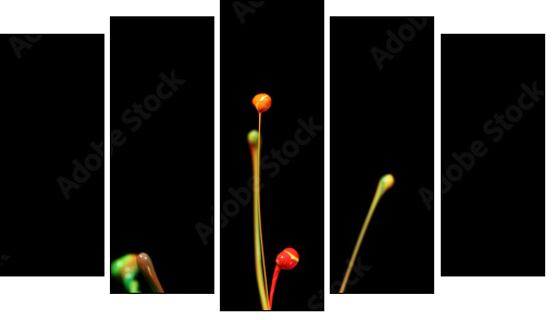 Paint splash  - Obraz pięcioczęściowy, Pentaptyk