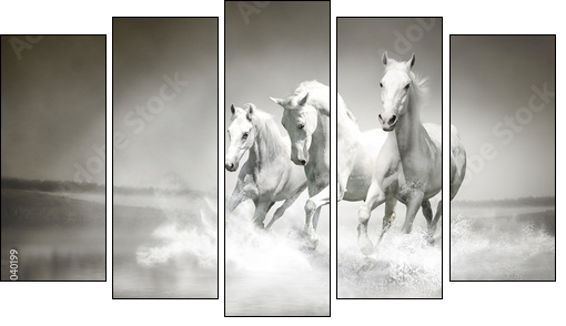 Herd of white horses running through water  - Obraz pięcioczęściowy, Pentaptyk