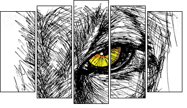 Hand drawn Sketch of a lion looking intently at the camera  - Obraz pięcioczęściowy, Pentaptyk