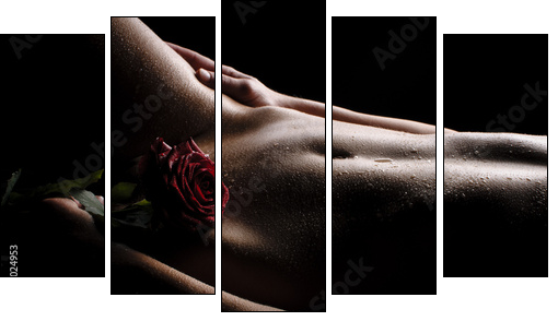 Nackter Bauch mit Rose  - Obraz pięcioczęściowy, Pentaptyk