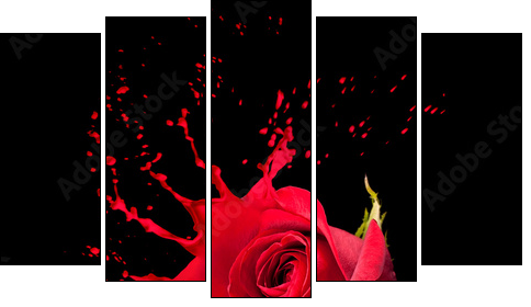 red rose splashes  - Obraz pięcioczęściowy, Pentaptyk