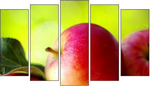Aksamitna słodycz - dojrzałe jabłka - Obraz pięcioczęściowy, Pentaptyk