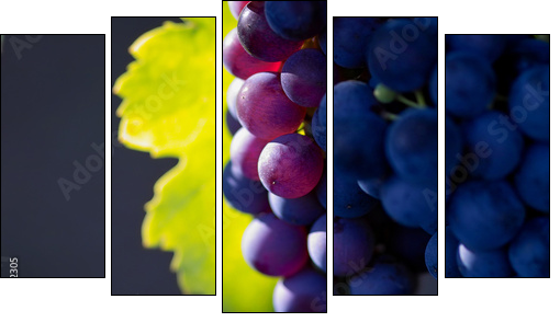 Dojrzewające wino – zoom na winnice
 - Obraz pięcioczęściowy, Pentaptyk