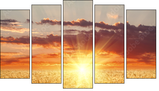 Wheat field at sunset  - Obraz pięcioczęściowy, Pentaptyk