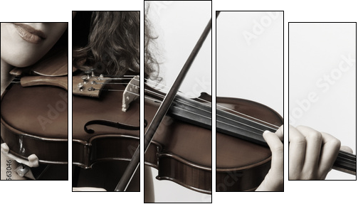 Violin musical instrument violinist hand  - Obraz pięcioczęściowy, Pentaptyk