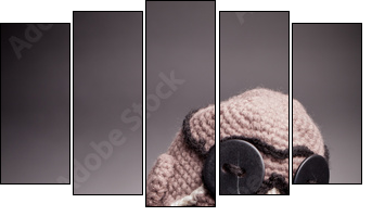 French bulldog puppy, in knit pilot helmet  - Obraz pięcioczęściowy, Pentaptyk