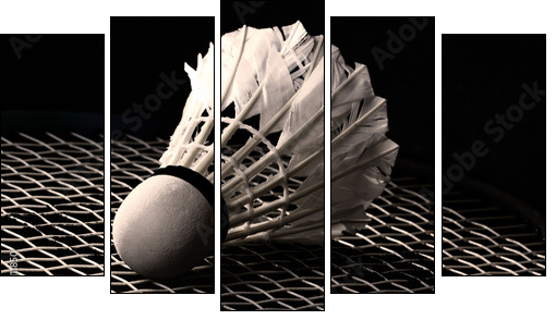 Shuttlecock on badminton racket  - Obraz pięcioczęściowy, Pentaptyk
