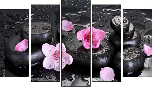 Spa stones with drops and pink sakura flowers  - Obraz pięcioczęściowy, Pentaptyk