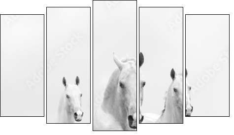 white horses in dust  - Obraz pięcioczęściowy, Pentaptyk