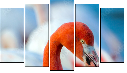 Pink flamingo on the lake  - Obraz pięcioczęściowy, Pentaptyk