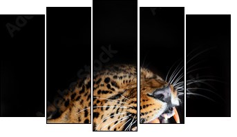 Leopard  - Obraz pięcioczęściowy, Pentaptyk