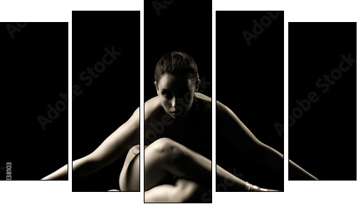 ballerina  - Obraz pięcioczęściowy, Pentaptyk
