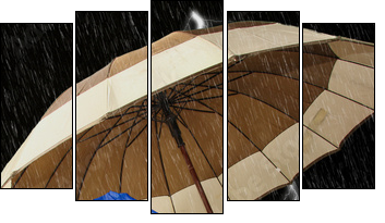 rain dog  - Obraz pięcioczęściowy, Pentaptyk