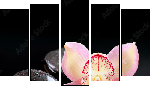 Zen Stones and Orchid Flower. Stone Massage  - Obraz pięcioczęściowy, Pentaptyk
