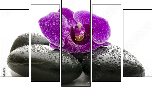 Violet orchid on black spa stones with water drops  - Obraz pięcioczęściowy, Pentaptyk