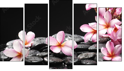 Set of frangipani with zen stones  - Obraz pięcioczęściowy, Pentaptyk