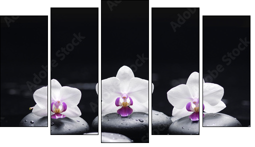 orchid flower and stones in water drops  - Obraz pięcioczęściowy, Pentaptyk