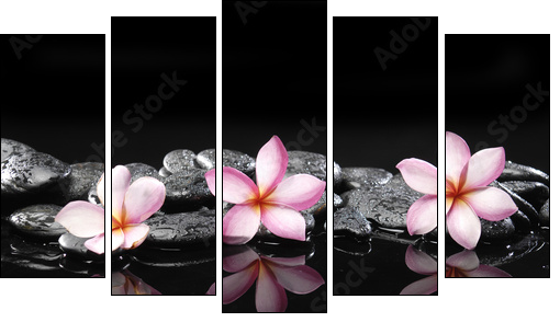 Set of three frangipani and black pebbles  - Obraz pięcioczęściowy, Pentaptyk