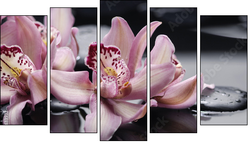 spa concept âgorgeous pink orchid and zen stones  - Obraz pięcioczęściowy, Pentaptyk