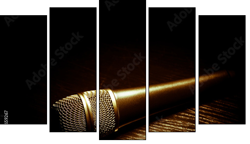 Dark microphone  - Obraz pięcioczęściowy, Pentaptyk