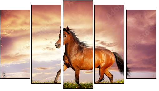Beautiful brown horse running trot  - Obraz pięcioczęściowy, Pentaptyk