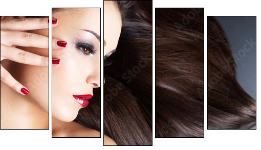Beautiful woman with long brown straight hairs  - Obraz pięcioczęściowy, Pentaptyk